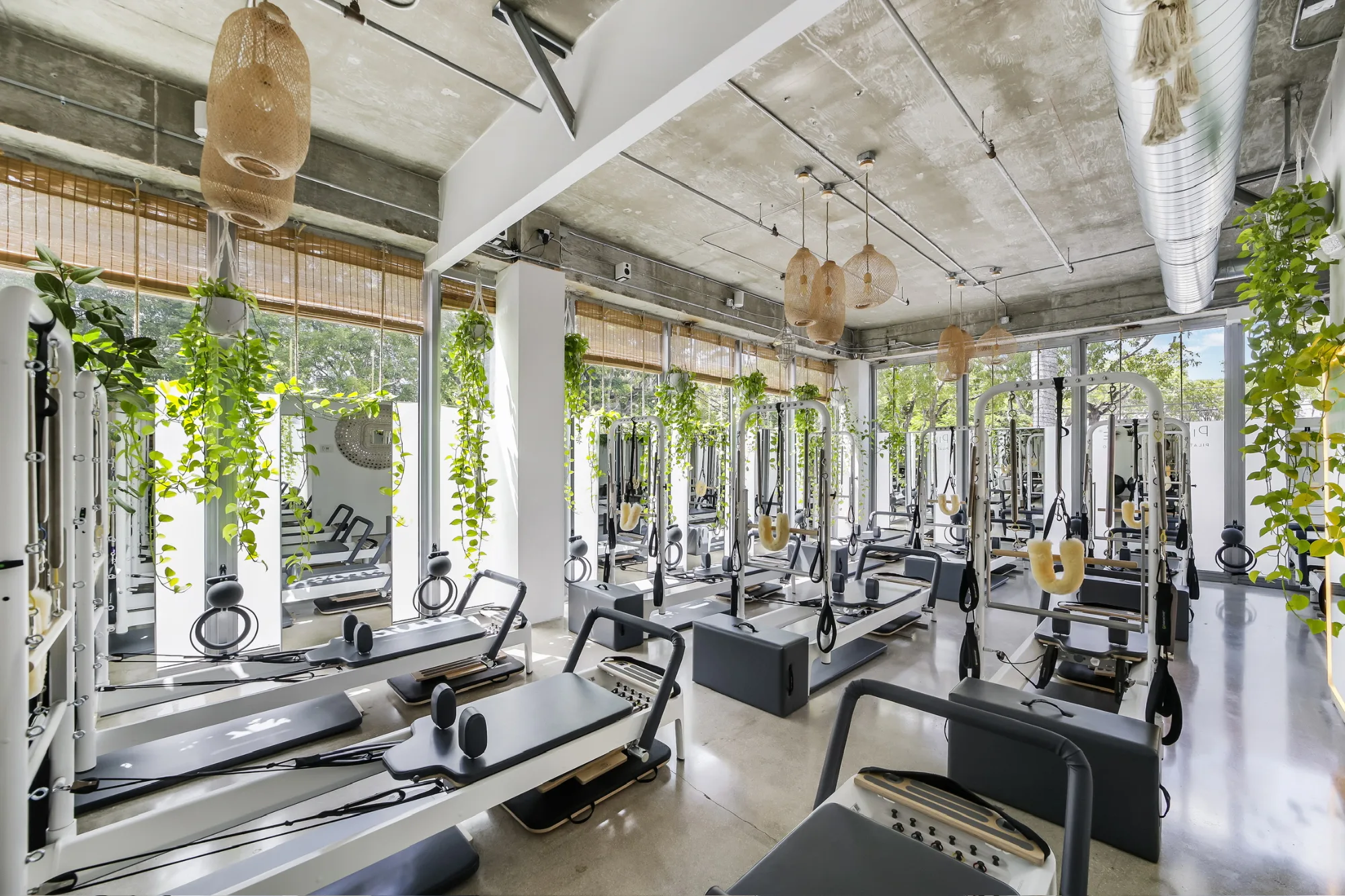 Bright, plant-filled Pilates One studio with rows of reformers, hanging plants, and floor-to-ceiling windows